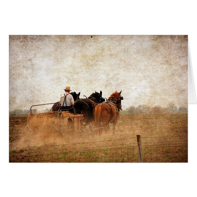 Trabajo de campo impulsado por caballos (Anverso (Horizontal))