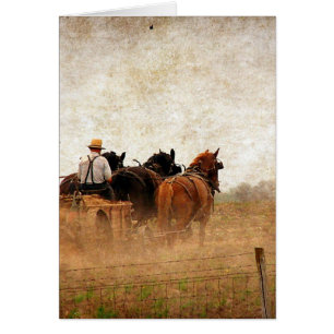 Trabajo de campo impulsado por caballos