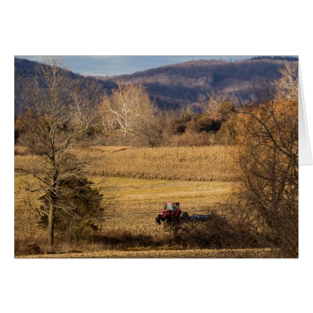 Trabajo en campo (Anverso (Horizontal))