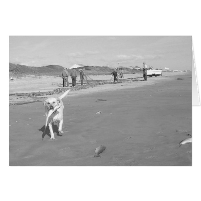 Trabajos del salmonete (Anverso (Horizontal))
