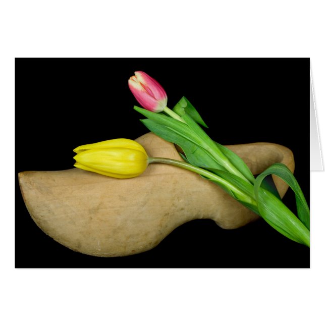 Tradición (Anverso (Horizontal))