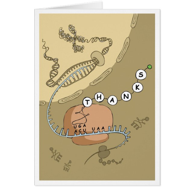 Traducción (Frente)