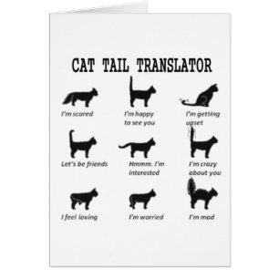 TRADUCTOR DE TAIL CAT