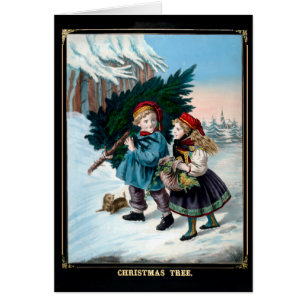 Traer el árbol a casa