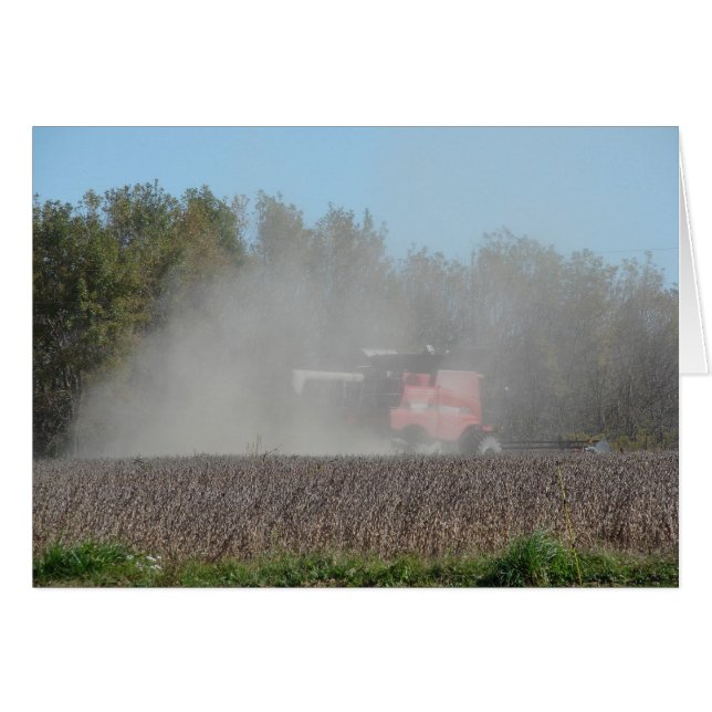 Traer la cosecha (Anverso (Horizontal))