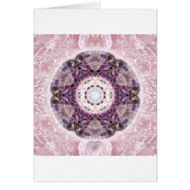 Traer la luz (Frente)