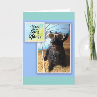 Traer la tarjeta Sunshine