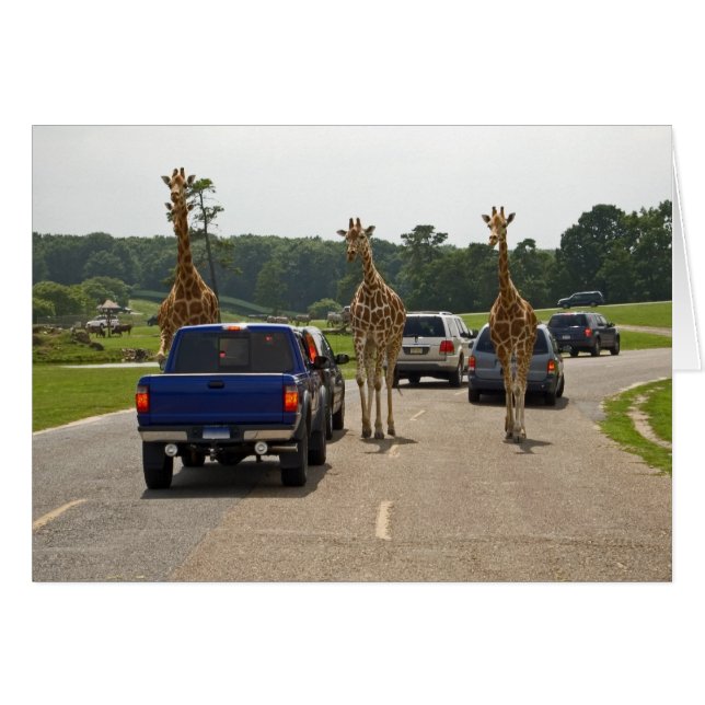 Tráfico en curso (Anverso (Horizontal))