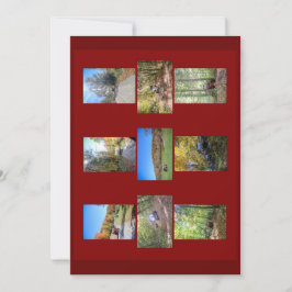 Trail Riding 6 Invitación