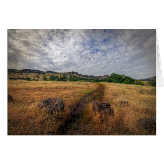 Trailhead, Upper Bidwell Park, Chico, Ca (Anverso (Horizontal))