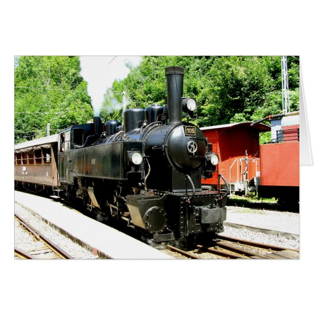 Train at Chamby railway museum (Anverso (Horizontal))