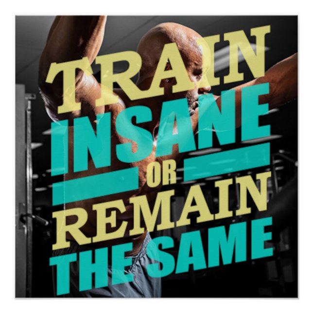 Train Insane Motivational Poster (Anverso)