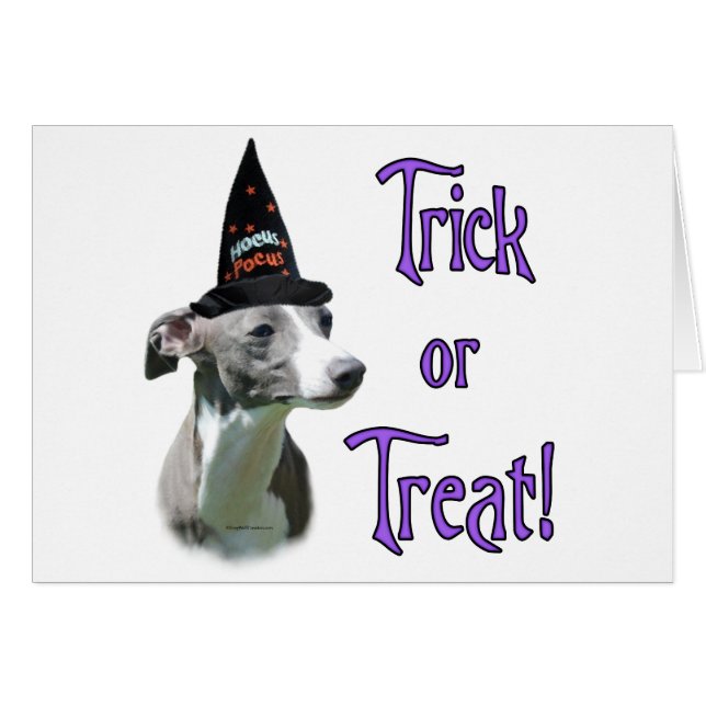 Trampolín de Greyhound (Anverso (Horizontal))