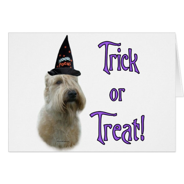 Trampolín de ruedas recubierto suave (Anverso (Horizontal))