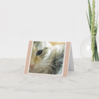 Tranquila tarjeta de notas Kitty Blank