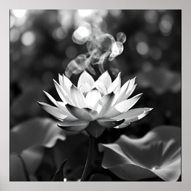 Tranquilidad floreciente: Arte de Lotus Charcoal (Frente)