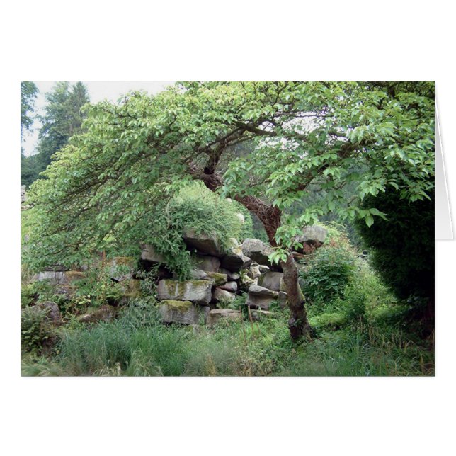 Tranquillidad (Anverso (Horizontal))