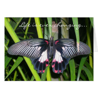 Transición, cambio de vida