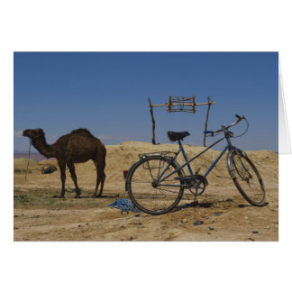 Transporte sostenible