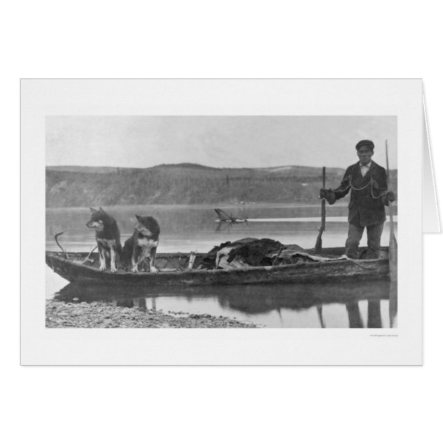 Trapper con pieles y perros Alaska 1906 (Anverso (Horizontal))