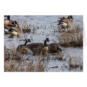 Trasladando hacia la tarjeta de agradecimiento