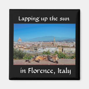 Traslapar para arriba el sol en Florencia, imán d