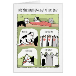 Tratamientos de spa de cumpleaños con gatos