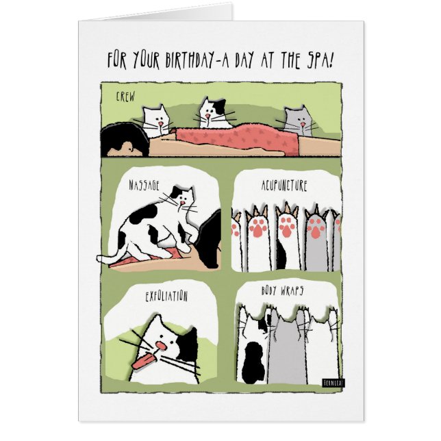 Tratamientos de spa de cumpleaños con gatos (Frente)