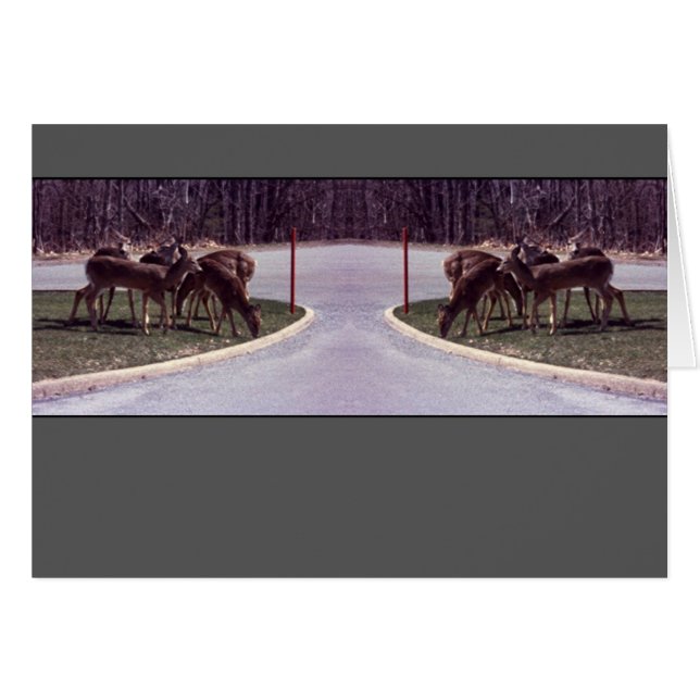 Travesía de los ciervos - tarjeta (Anverso (Horizontal))