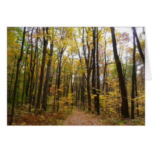 Trayecto de otoño y hojas de oro en Laurel Hill Pa