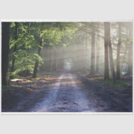 Trayecto de paisajes forestales 24 Papel de tejido