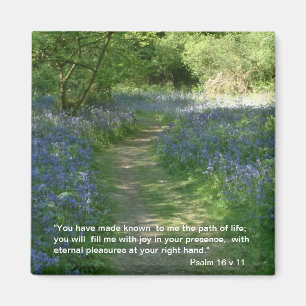 Trayectoria de la vida - imán de los Bluebells el