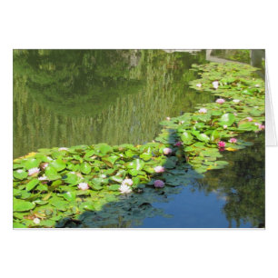 Trayectoria de Lotus