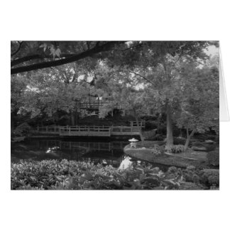 Trayectoria pacífica