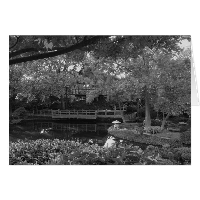 Trayectoria pacífica (Anverso (Horizontal))