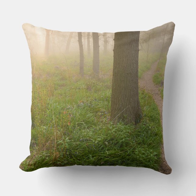 Trayectoria que camina que lleva en una almohada (Anverso)