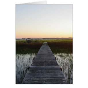 Trayectoria vulnerable II