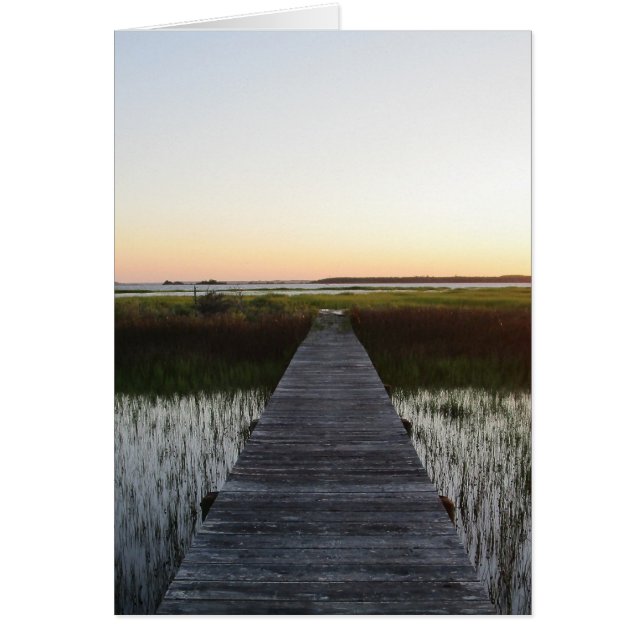 Trayectoria vulnerable II (Frente)