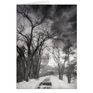 Trayectorias de invierno