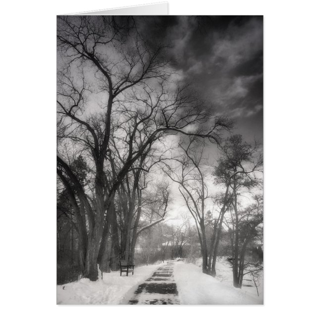 Trayectorias de invierno (Frente)