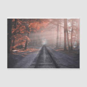 Trayectorias ferroviarias forestales 22 Papel de t