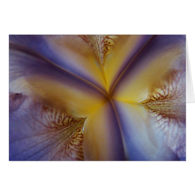 Tre (Anverso (Horizontal))