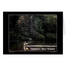 Trece Mile Woods NH