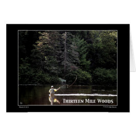 Trece Mile Woods NH