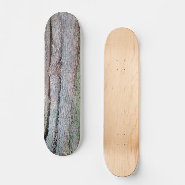 Tree Planet 5 Skateboard (Anverso)