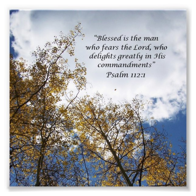 Treetops Psalms 11:23 Fotografía de las Escrituras (Frente)