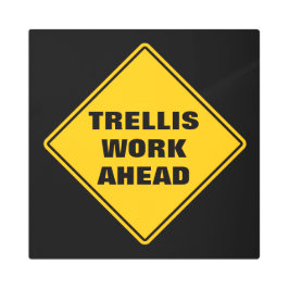 Trellis trabaja por delante de la señal de carrete