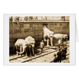 Tren del elefante de Ringling Bros de la