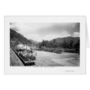 Tren turístico del proyecto Skagit