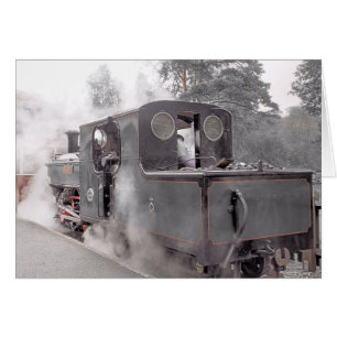TRENES DE VAPOR